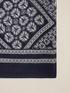 Foulard de mezcla de cachemir estampado image number 2