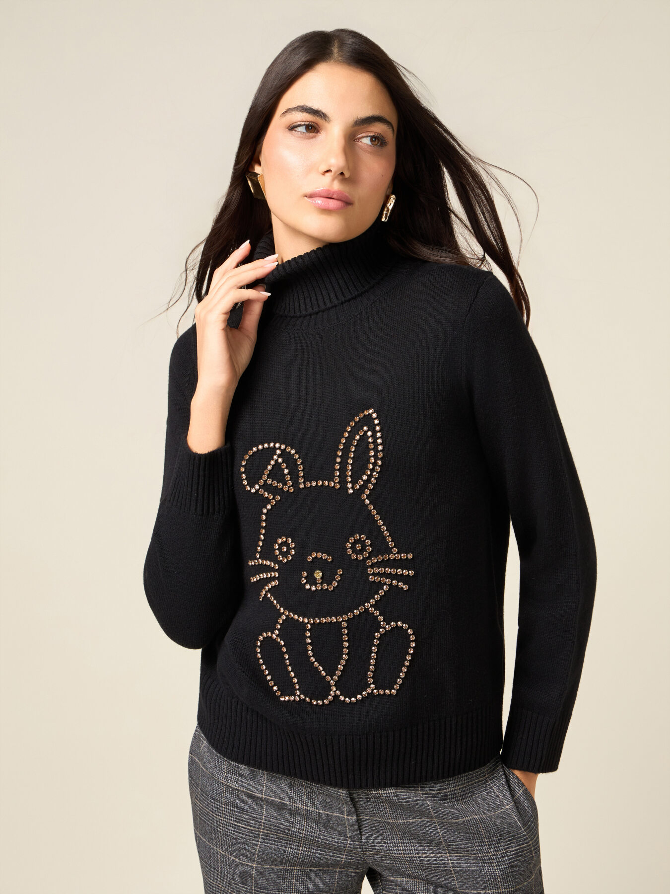 Rollkragenpullover aus Kaschmir-Mix mit Kristallen image number 0